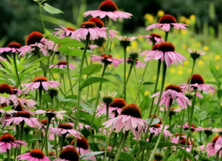 1631843170953019.jpg 1631843170953019.jpg