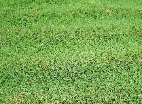 1631845419296358.jpg image.jpg