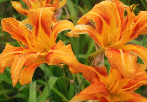 1631845530191820.jpg 1631845530191820.jpg