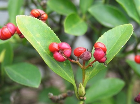 1631845710490574.jpg image.jpg