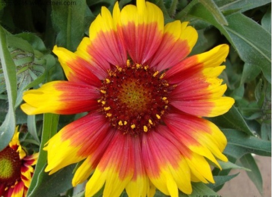 1631851075413126.jpg image.jpg