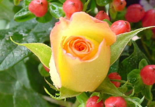 1631853900438702.jpg image.jpg