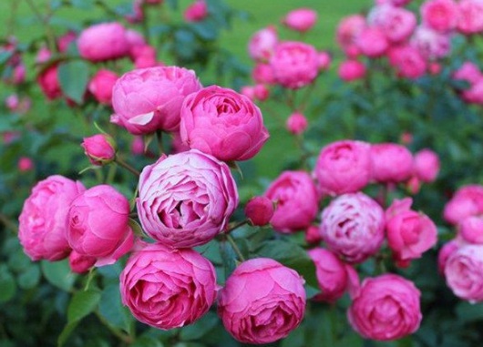 1631853907160619.jpg image.jpg