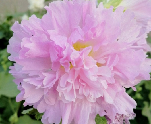 1631855334387537.jpg 1631855334387537.jpg