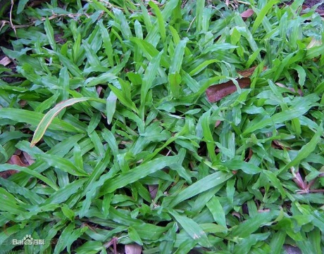 1631859165837219.jpg image.jpg