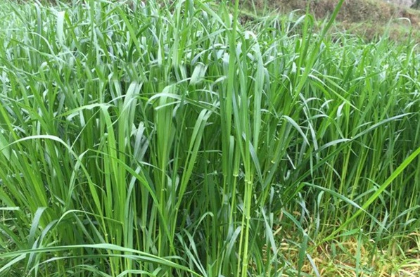 1631859769212311.jpg image.jpg