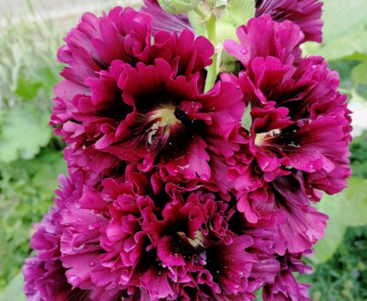 1631865318313001.jpg 1631865318313001.jpg