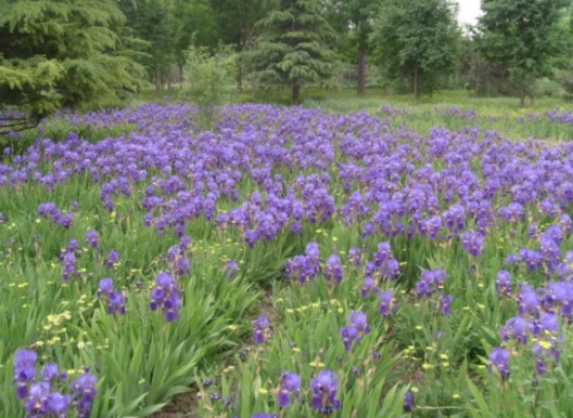 1631867369559218.jpg image.jpg