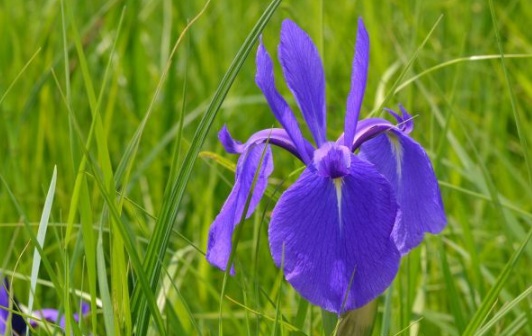 1631867377326721.jpg image.jpg