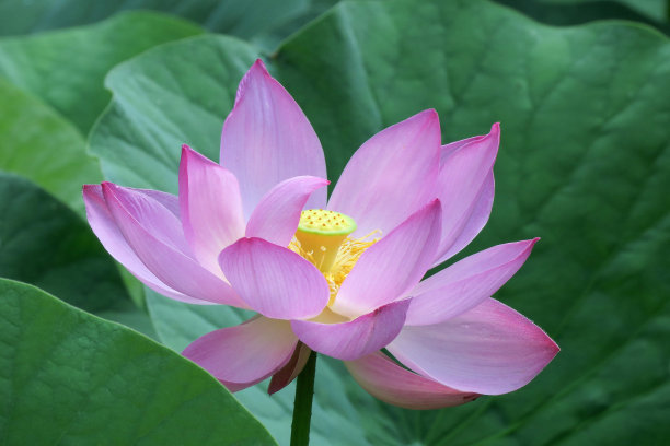 1631880951685191.jpg 1631880951685191.jpg