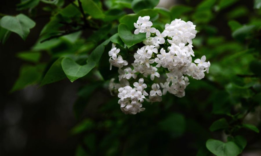 1631881455862034.jpg 1631881455862034.jpg