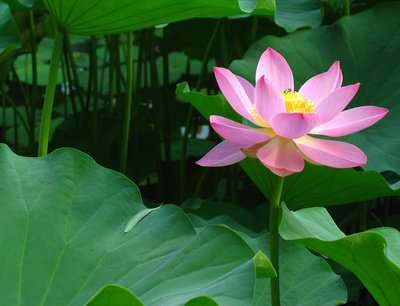 1631884215285064.jpg 1631884215285064.jpg