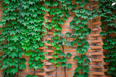 1631886918798736.jpg 1631886918798736.jpg