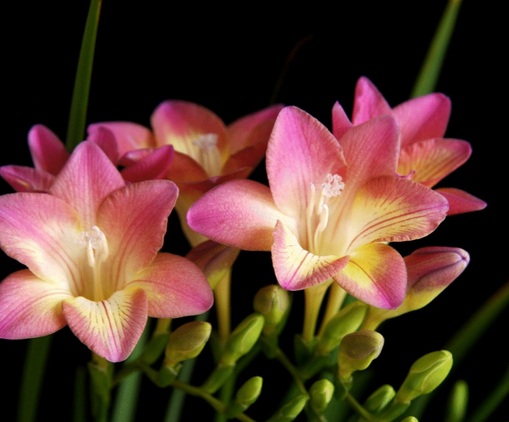 1631887487765996.jpg 1631887487765996.jpg