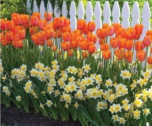 1631887541373604.jpeg 1631887541373604.jpeg