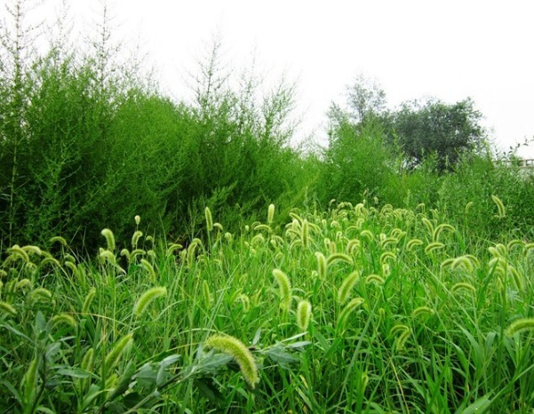 1631888262208993.jpg image.jpg