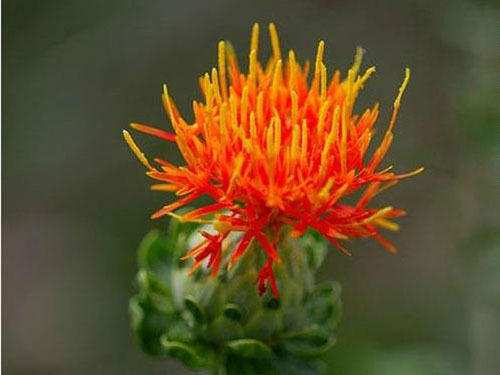 1631969377518658.jpg 1631969377518658.jpg