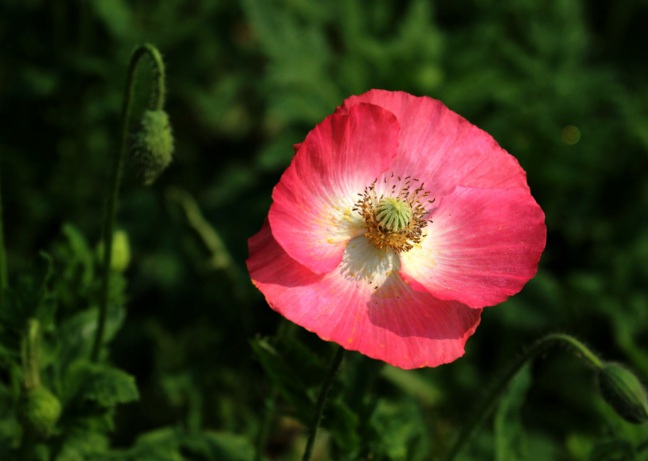 1632265552932473.jpg 1632265552932473.jpg