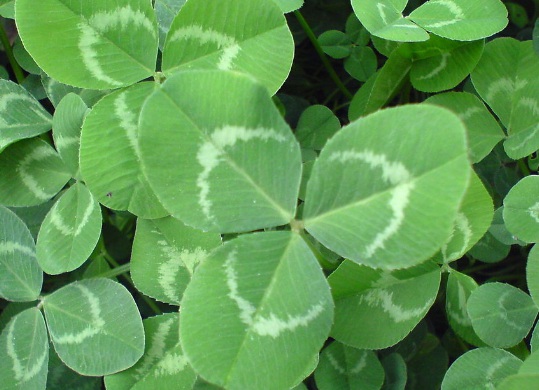 1632268459950068.jpg image.jpg