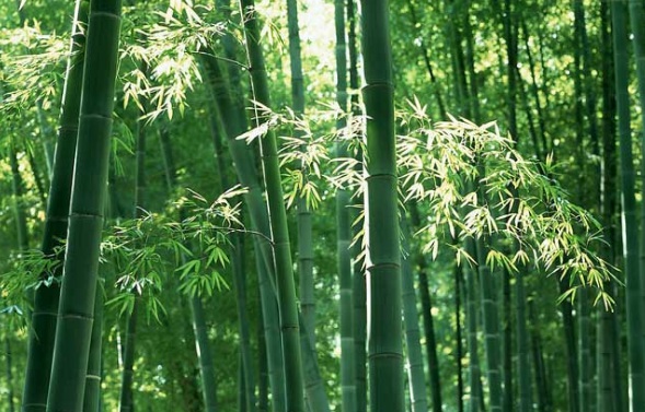 1632269490197412.jpg image.jpg