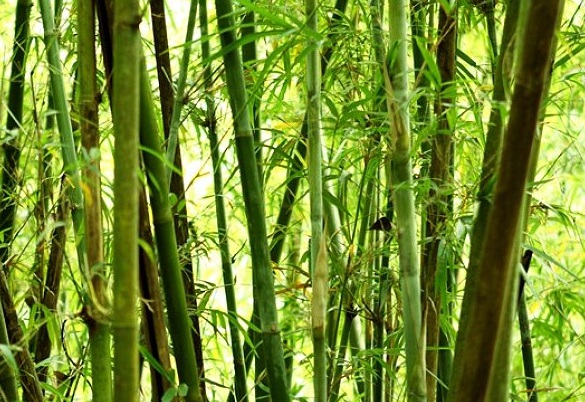 1632269663179578.jpg image.jpg