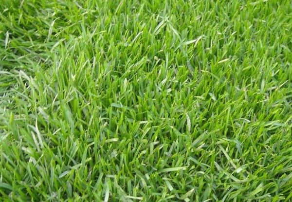 1632270757582108.jpg image.jpg