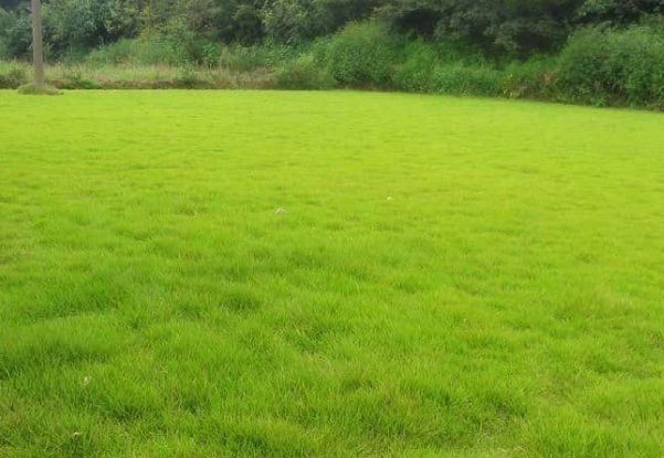 1632270777529603.jpg image.jpg