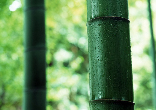 1632271822778069.jpg image.jpg