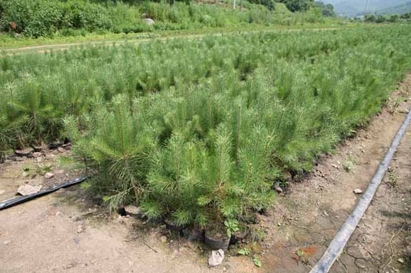 1632272381724908.jpg image.jpg