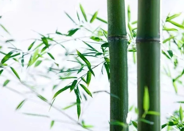 1632273320876770.jpg image.jpg