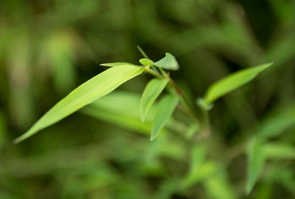 1632273332321291.jpg image.jpg