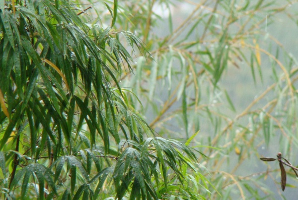 1632273351589404.jpg image.jpg