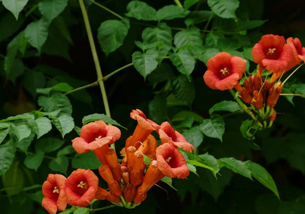 1632273431413512.jpg image.jpg