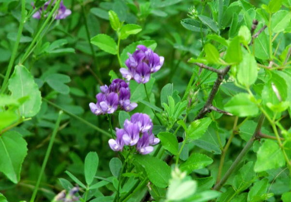 1632273736572915.jpg image.jpg