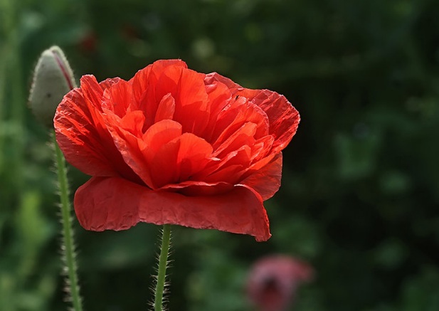 1632278677178551.jpg 1632278677178551.jpg