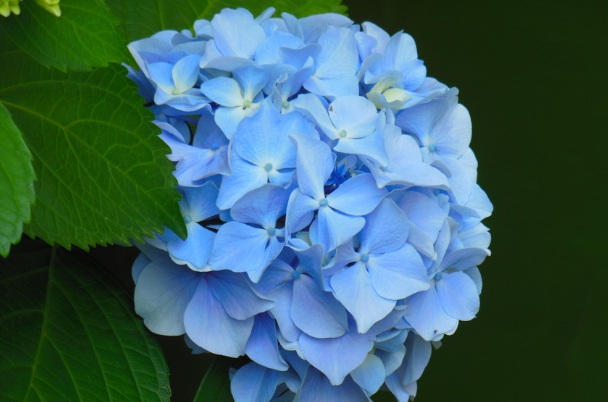 1632278762237436.jpg 1632278762237436.jpg