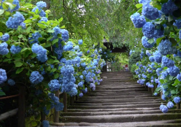 1632278801424419.jpg image.jpg