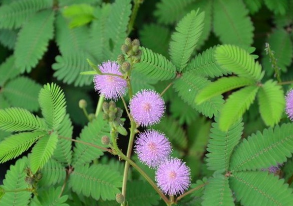 1632278880204836.jpg 1632278880204836.jpg