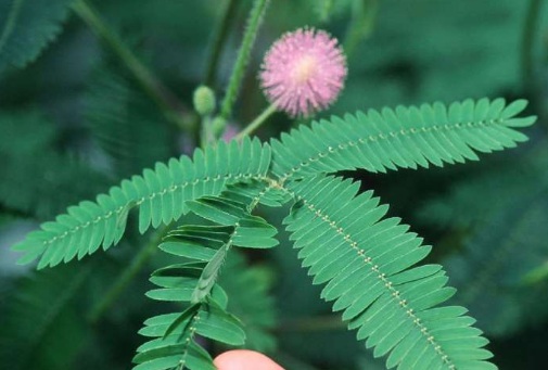 1632278887428809.jpg 1632278887428809.jpg