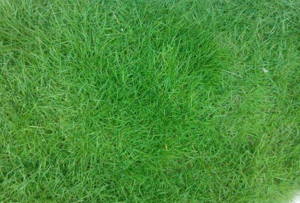 1632280304920311.jpg image.jpg