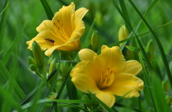 1632280427814239.jpg 1632280427814239.jpg