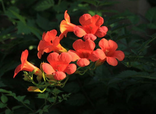 1632280544174700.jpg 1632280544174700.jpg