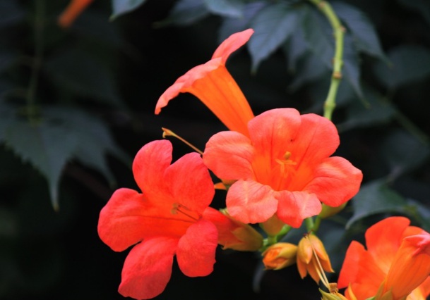 1632280569723725.jpg 1632280569723725.jpg