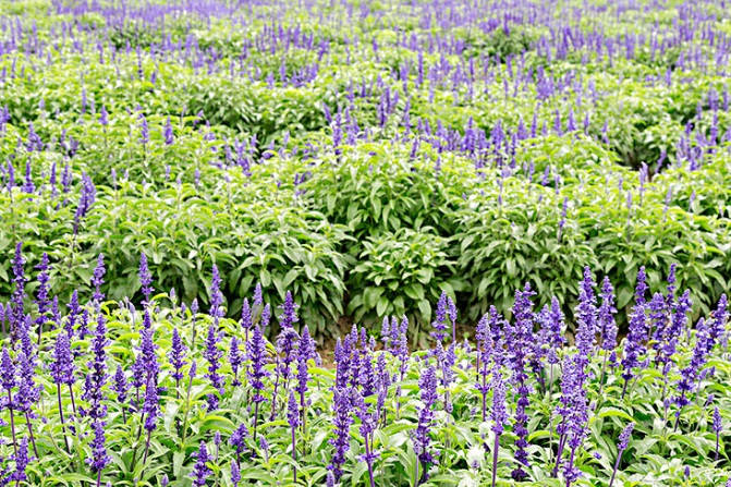 1632280790498614.jpg 1632280790498614.jpg