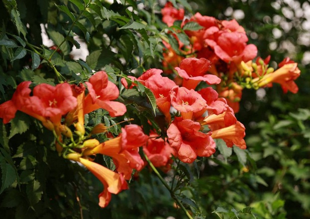 1632282674306106.jpg 1632282674306106.jpg