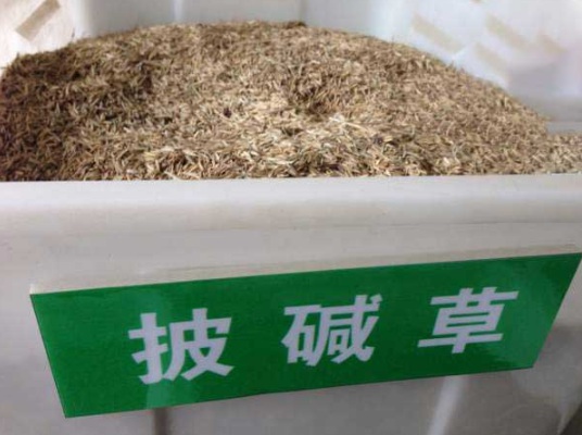 1632287545651773.jpg image.jpg