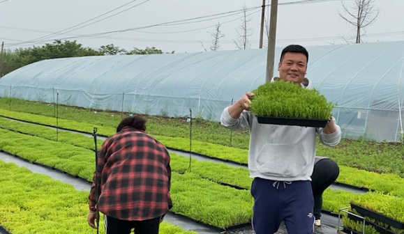 1632287693445774.jpg image.jpg