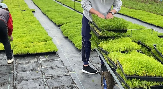 1632287744331742.jpg image.jpg