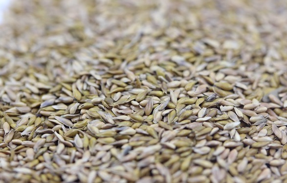 1632289328250242.jpg image.jpg