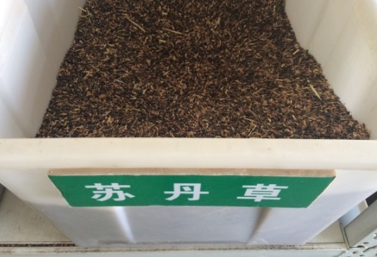 1632289401423214.jpg image.jpg